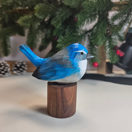 California Scrub-Jay on Stand