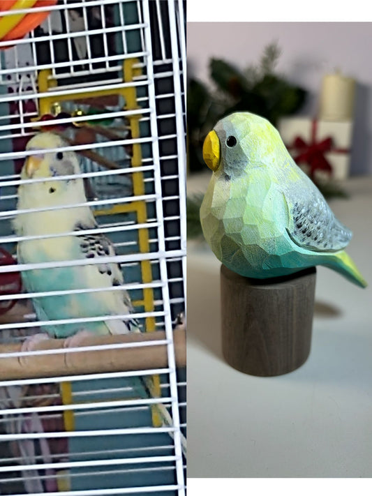 Budgie realizzato a mano e personalizzato