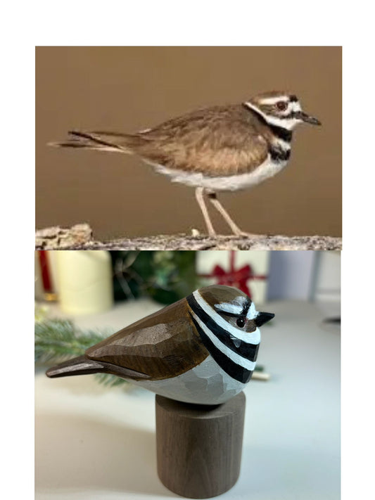 killdeer-カスタム彫刻手描きの鳥