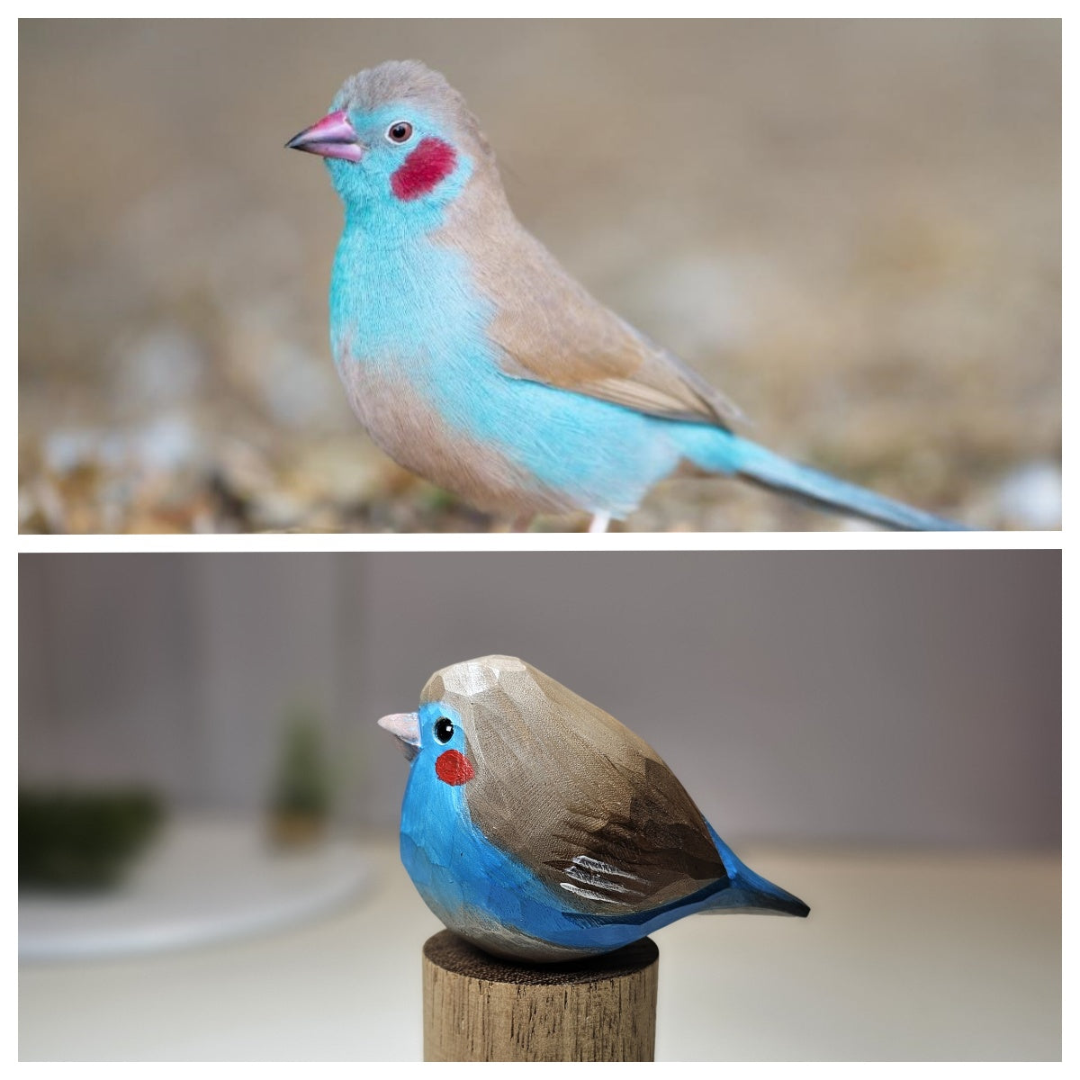 Custom Wooden Bird Figurines of Estrildid Finches: Uraeginthus, Chloebia & Amandava